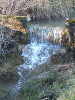 DSCF0479.JPG
