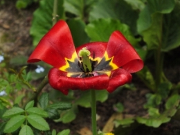 DSCF4947.JPG