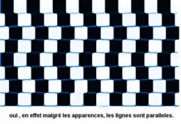 illusion_optique_fausses_paralleles.jpg