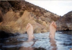 Parinacota - détente dans les "aguas calientes"