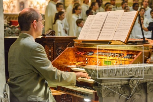 Organiste : iconotekoa