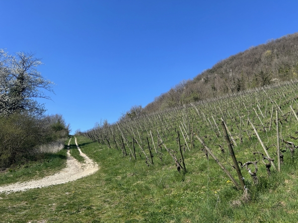 Tout résume 2005...