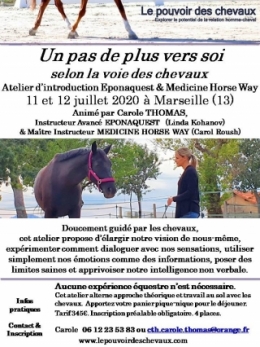 carole thomas, communication sentiente, programme NOW, eponaquest, linda kohanov, carol roush, carole thomas, le pouvoir des chevaux, medicine horse way, equicoaching, horsecoaching, developpement personnel, cheval