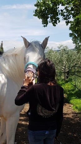 Eponaquest, medicine horse way, linda kovanov, tao du cheval, voie du cheval, carole thomas, equi coaching