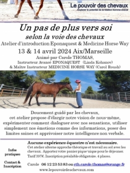 carole thomas, communication sentiente, programme NOW, eponaquest, linda kohanov, carol roush, carole thomas, le pouvoir des chevaux, medicine horse way, equicoaching, horsecoaching, developpement personnel, cheval