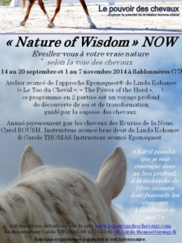 eponaquest,approche epona,carol roush,carole thomas,linda kohanov,le tao du cheval,developpement personnel,cheval