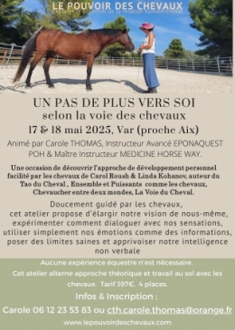 carole thomas, communication sentiente, programme NOW, eponaquest, linda kohanov, carol roush, carole thomas, le pouvoir des chevaux, medicine horse way, equicoaching, horsecoaching, developpement personnel, cheval