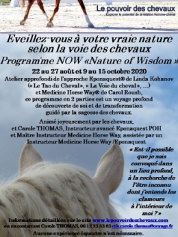 programme NOW, eponaquest, linda kohanov, carol roush, carole thomas, le pouvoir des chevaux, medicine horse way, equicoaching, horsecoaching, developpement personnel, cheval