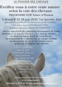Marron Âgé Photo Bénévole Flyer (7).png