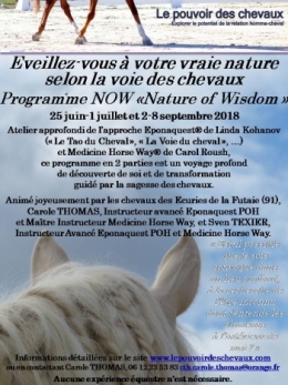 Flyer NOW 2018.jpg