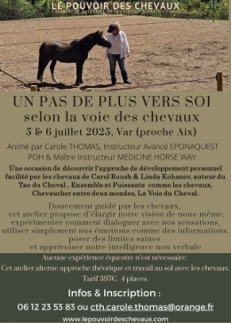 supervision, coaching, equicoach, carole thomas, accompagnement