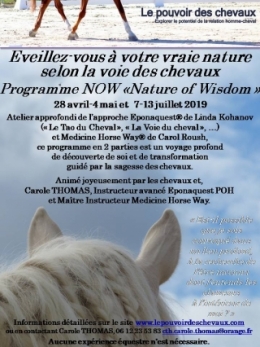 eponaquest, medicine horse way, carol roush, le tao du cheval, linda kohanov, le pouvoir des chevaux, now, equicoaching, carole thomas