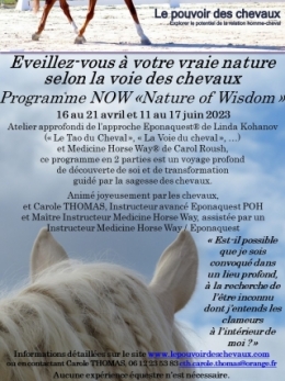 Flyer NOW 2023 printemps.jpg