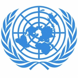 logo ONU.jpg