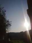Nibiru6.jpg