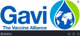 Logo GAVI.JPG