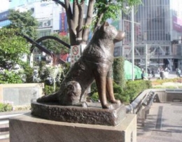 hachiko2.jpg