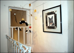 Aristes pour Chats de Stella- Cagnes-PhotosLP Fallot (4).jpg