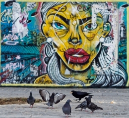 street art_photo LP Fallot  (4).jpg