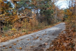 Quand la route devient chemin-PhotosLP Fallot-2010 (3).jpg