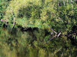 La rivière endormie - photosLP Fallot (1).jpg