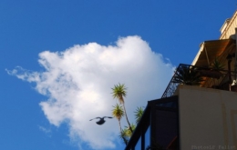 Nuages1_2013_PhotosLP  Fallot (2).jpg