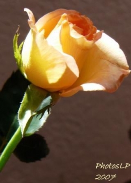 86bcd72238c80bb76bd70bb0195bf203.jpg
