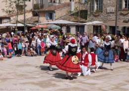 Fête des Mais-PhotosLP Fallot (2).jpg