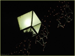 Montée de la Bourgade-Cagnes le 17 décembre 2010-PhotosLP Fallot.jpg