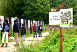 Festival Photo  La Gacilly-PhotosLP Fallot (10).jpg