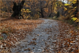 Quand la route devient chemin-PhotosLP Fallot-2010 (7).jpg