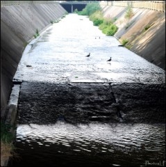 Lumières d'été-PhotosLP Fallot (3).jpg