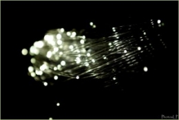 FIBRE OPTIQUE-PhotosLP FALLOT (3).jpg