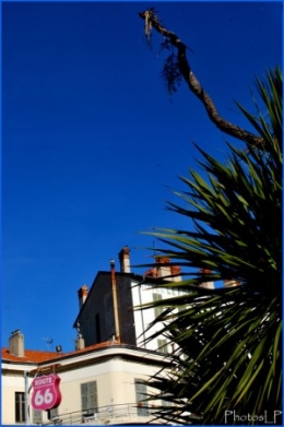 66-PhotosLP Fallot.jpg