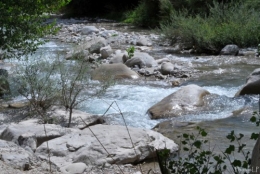 Eau en Provence-PhotosLP Fallot-2010 (4).jpg