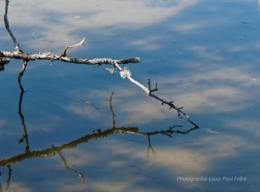 anniversaire,mots et photos,blog