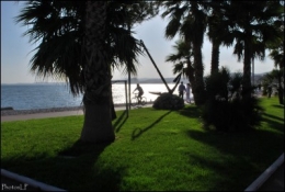 Cros de Cagnes- octobre 2009 -Prom-Photos LP Fallot- (9).jpg