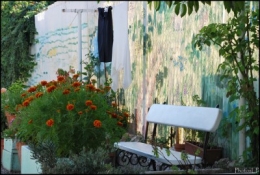 Cros de Cagnes-octobre 2009-PhotosLP Fallot (6).jpg