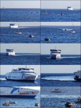 Arrivée du ferry NGV Liamone au port de Nice-Photos LP Fallot.jpg