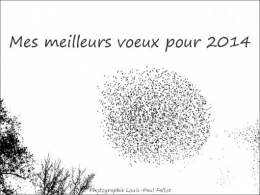 Voeux_PhotosLP.jpg