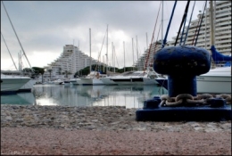Marina Marathon 3-LP Fallot2.jpg