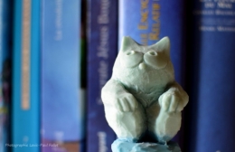 Le chat bleu-PhotosLP Fallot.JPG