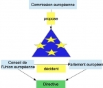 triangle-institutionnel.jpg