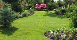 tondeuse, jardin, pelouse, tondeuse thermique