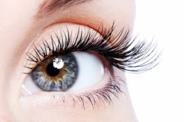 huile de ricin, cils, sourcils