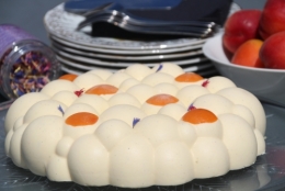 entremets, vanille, abricot
