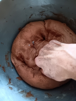 Brioche, babka, cacao, pâte à tartiner Nocciolata