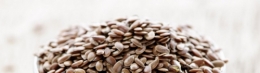 graines-de-psyllium.jpg