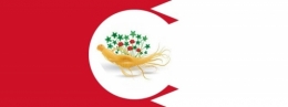 ginseng-rouge-blanc.jpg