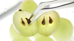 huile de pepin de raisin.jpg
